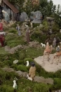 508558968_9788180014626879_763561811798469123_n