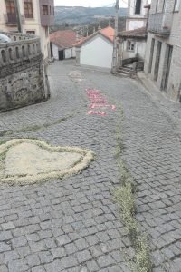 56976913_1958464280931864_1519095053165789184_n