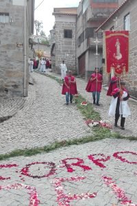 64531061_2063040773807547_3609011527920648192_n