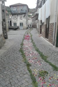 64722710_2063040350474256_1185090191178596352_n