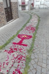 65096056_2063039723807652_7510642952994029568_n